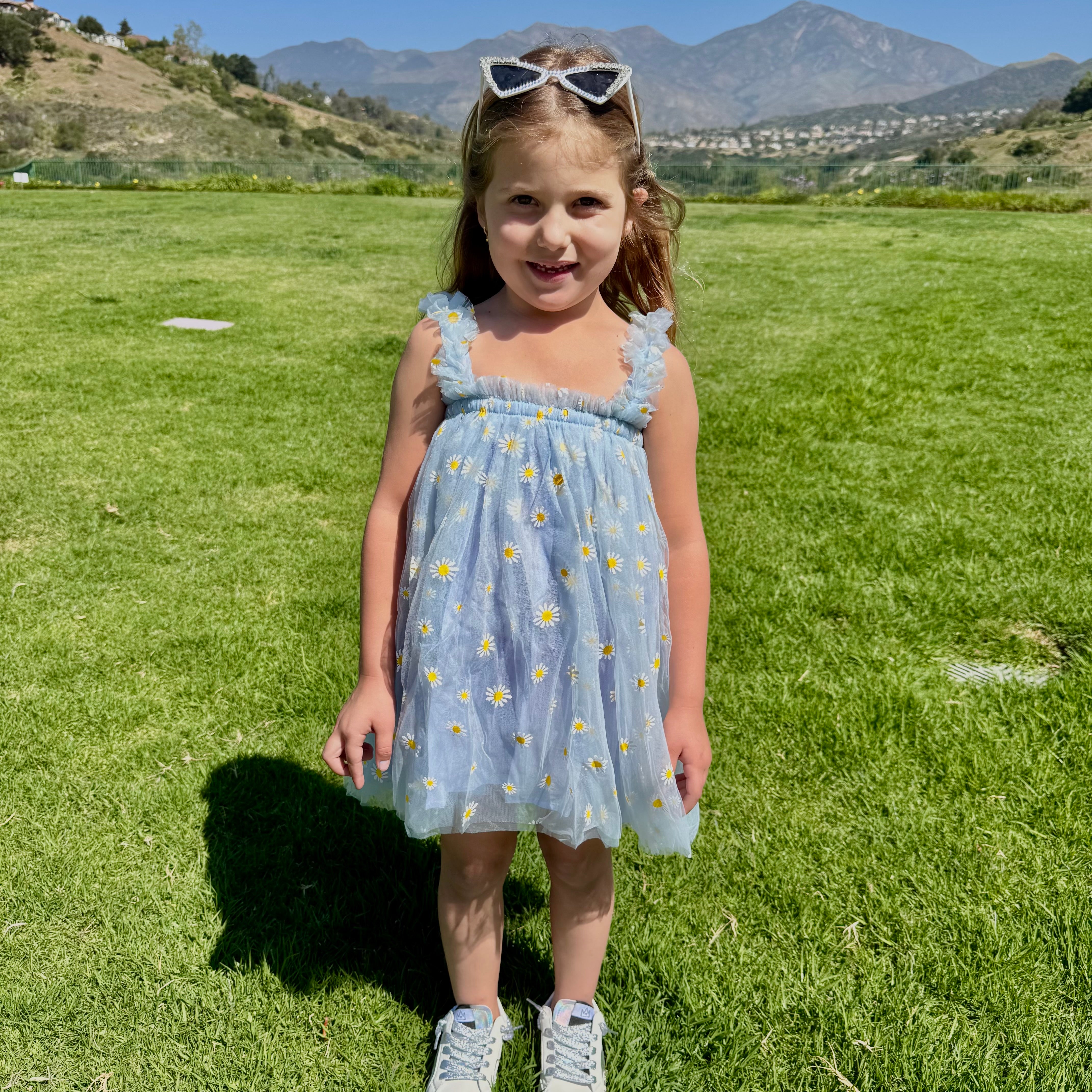 Dress || Daisy Blue Dress